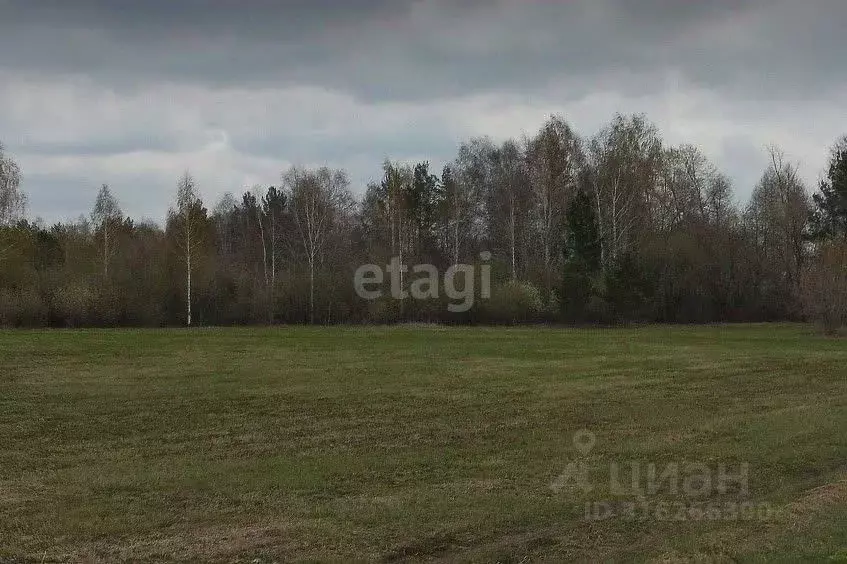 Участок в Свердловская область, Белоярский муниципальный округ, д. ... - Фото 1