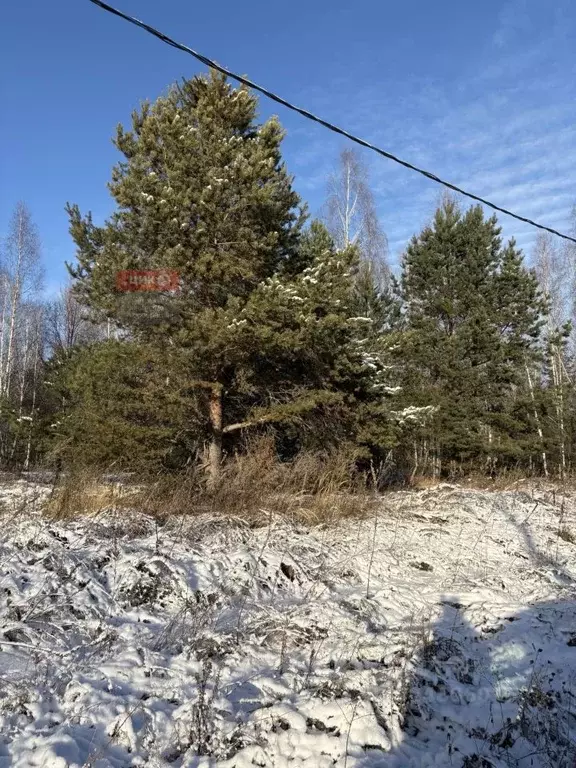 Участок в Рязанская область, Спасский муниципальный округ, с. Ярустово ... - Фото 1