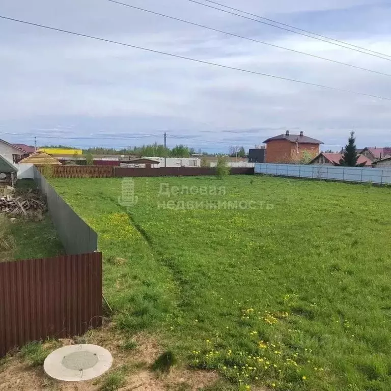 Участок в Новгородская область, Новгородский муниципальный район, ... - Фото 1