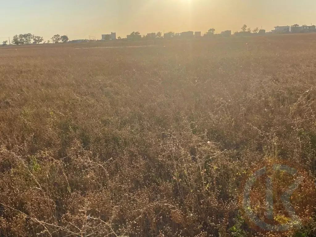 Участок в Крым, Сакский район, с. Добрушино  (1840.0 сот.) - Фото 2