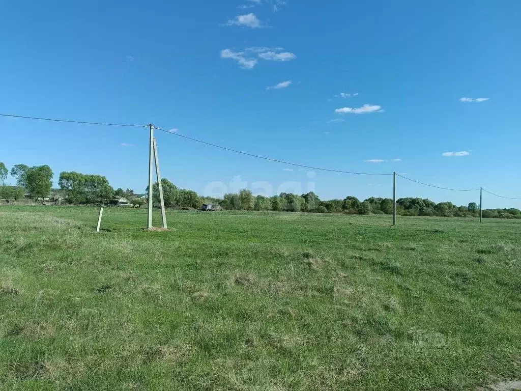 Участок в Курская область, Курский район, Полянский сельсовет, с. ... - Фото 1