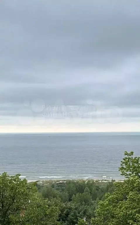 Участок 6 сот. (СНТ, ДНП) - Фото 0