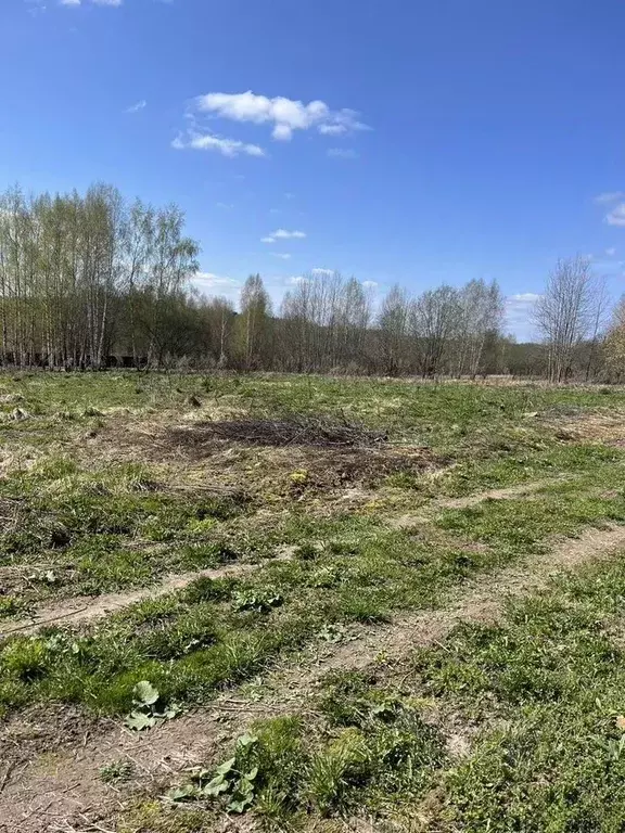 Участок в Московская область, Клин городской округ, с. Троицкое  (15.0 ... - Фото 2