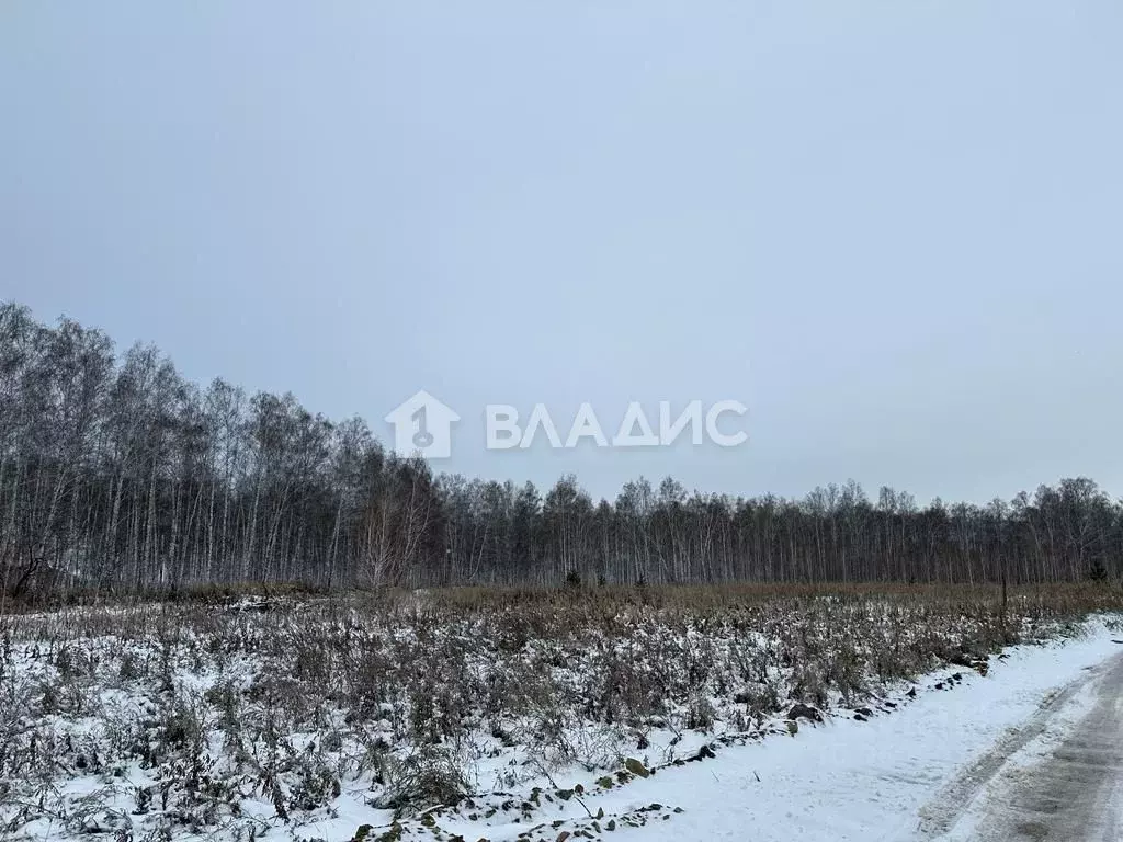 Участок в Челябинская область, Сосновский район, Кременкульское с/пос, ... - Фото 0