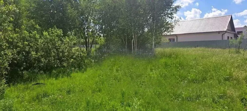 Участок в Московская область, Истра муниципальный округ, д. Большое ... - Фото 1