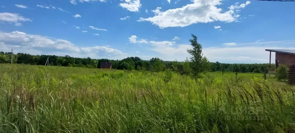 Участок в Нижегородская область, Богородский муниципальный округ, д. ... - Фото 0