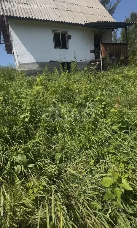 Участок в Майминский район, посёлок Дубровка (9 м) - Фото 1