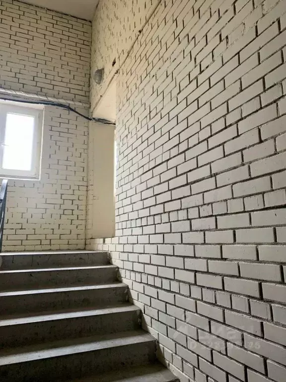 Помещение свободного назначения в Московская область, Люберцы ... - Фото 1