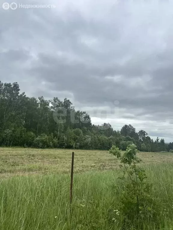 Участок в Калужская область, Тарусский муниципальный округ, сельское ... - Фото 2