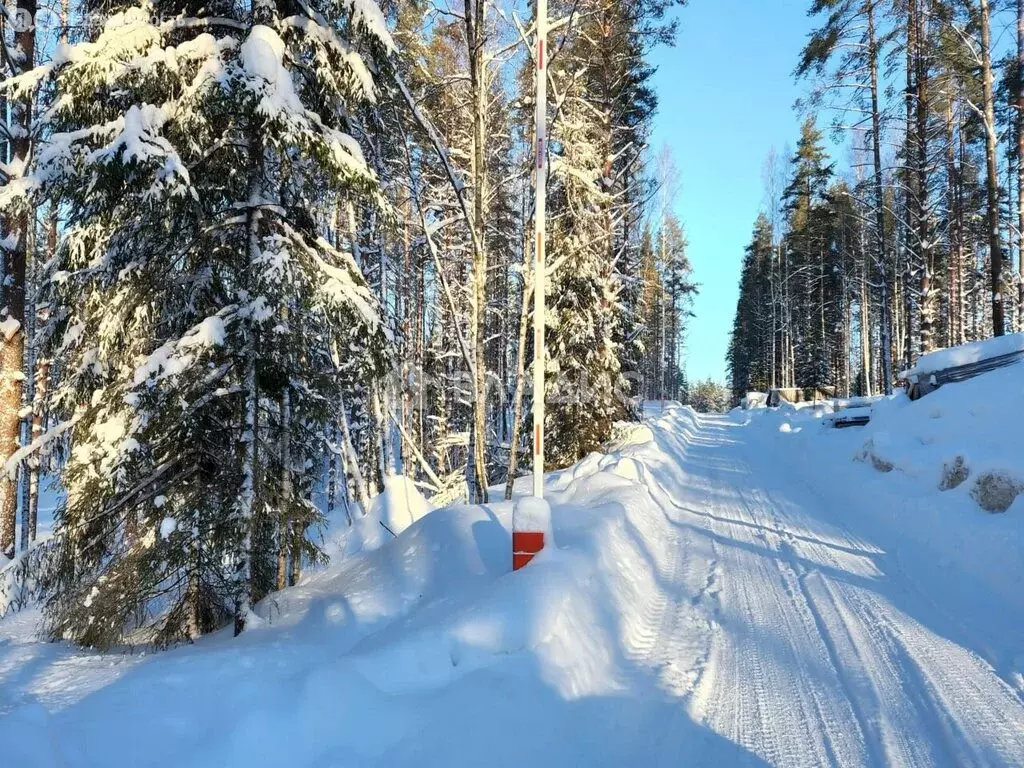 Участок в Куйвозовское сельское поселение, КП Белкино (8.92 м) - Фото 1