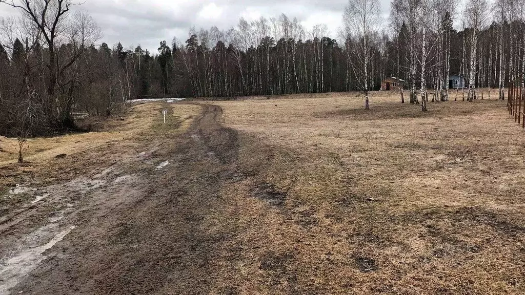 Участок в Московская область, Лосино-Петровский городской округ, д. ... - Фото 0