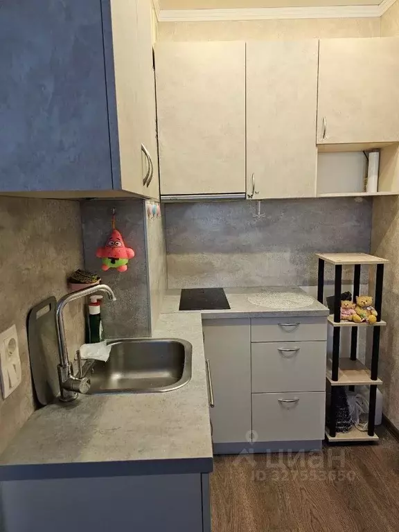 Студия Ленинградская область, Ломоносовский район, Оржицкое с/пос, д. ... - Фото 2