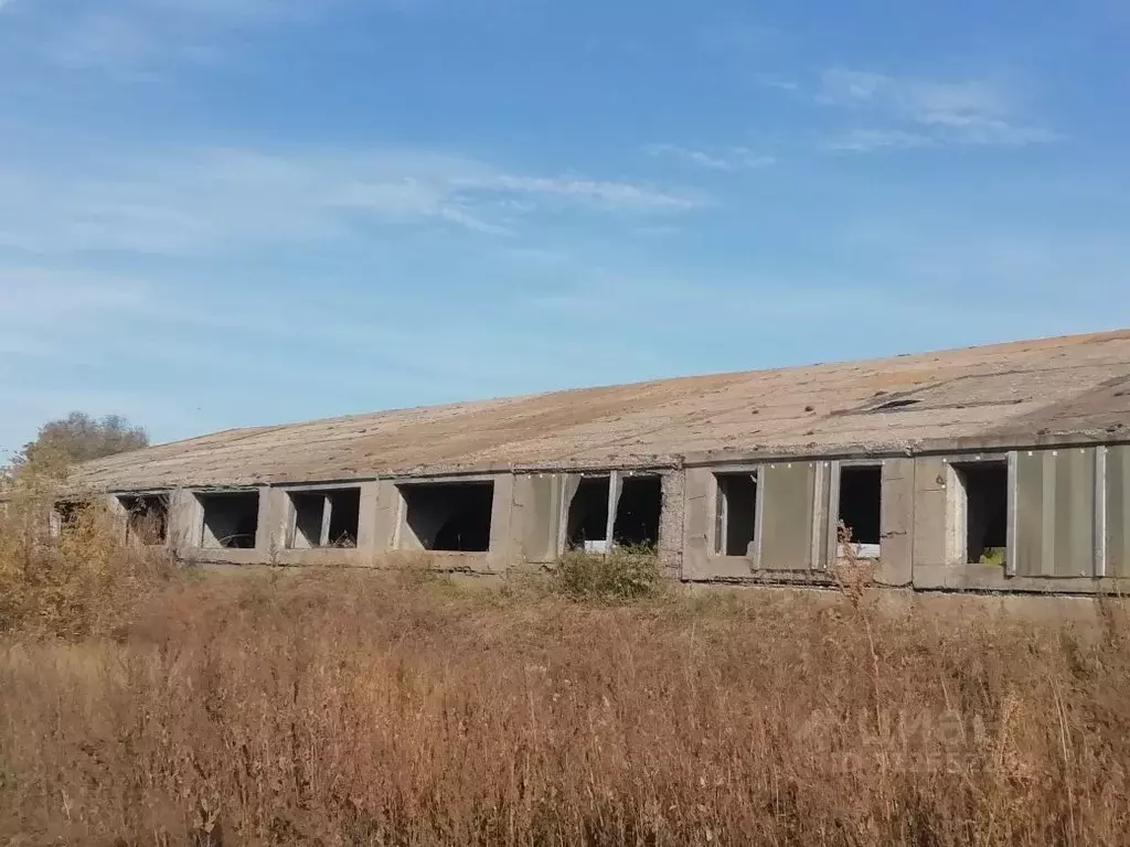 Помещение свободного назначения в Самарская область, Ставропольский ... - Фото 0