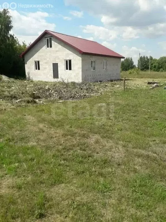 Дом в Липецкая область, Добровский муниципальный округ, село Большой ... - Фото 2