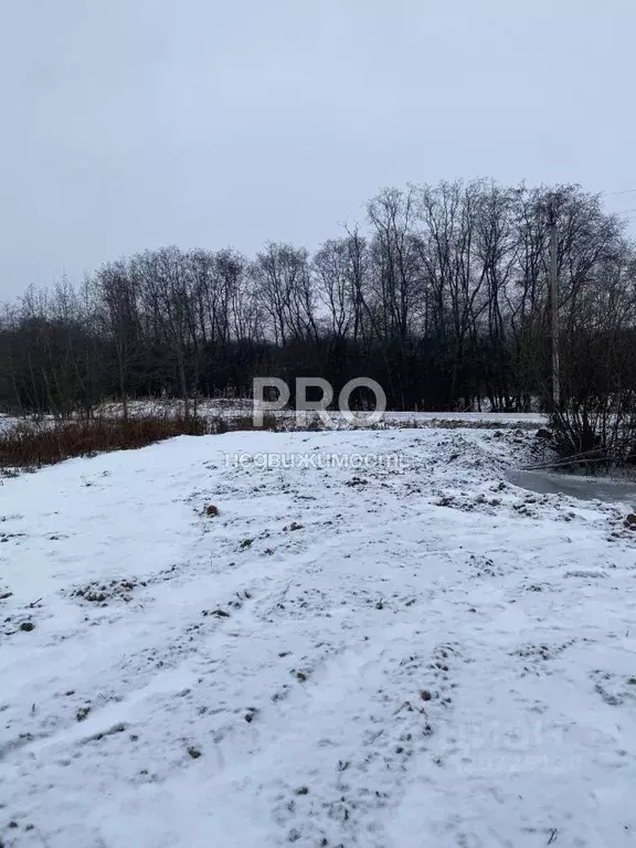 Участок в Ярославская область, Ярославский муниципальный округ, с. ... - Фото 2