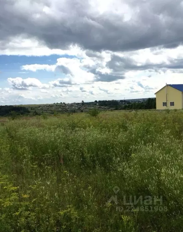 Участок в Владимирская область, Кольчугинский район, Ильинское ... - Фото 1