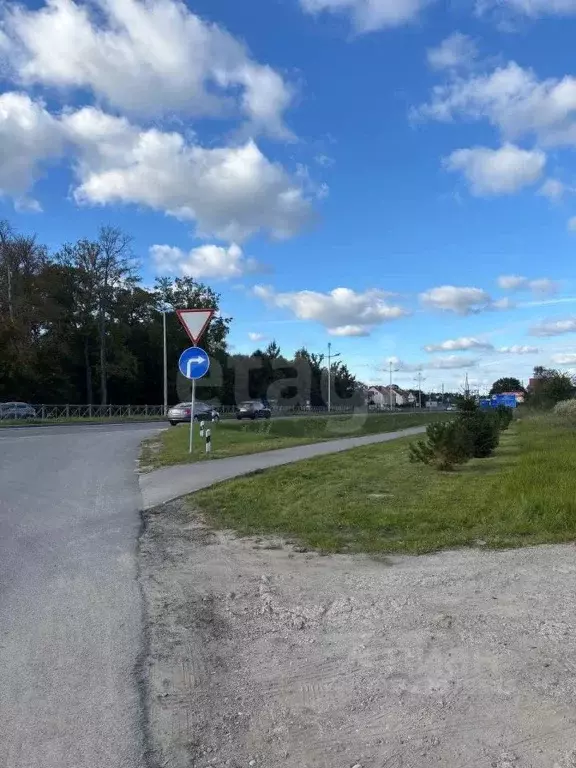 Участок в Калининградская область, Зеленоградский муниципальный округ, ... - Фото 0