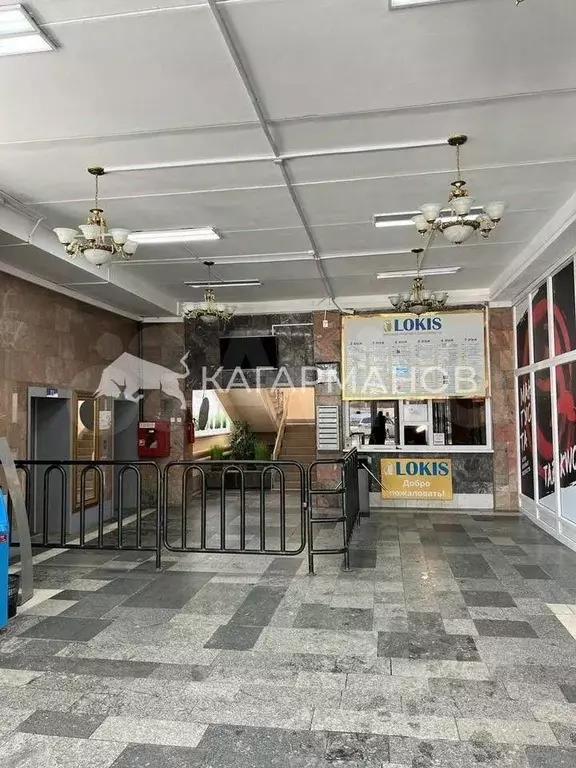 Помещение свободного назначения в Новосибирская область, Новосибирск ... - Фото 1