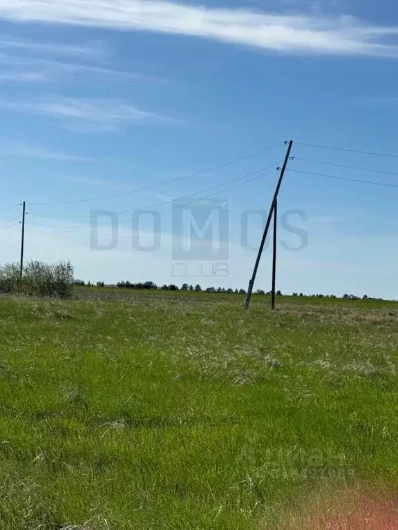 Участок в Свердловская область, Белоярский муниципальный округ Р-354, ... - Фото 1