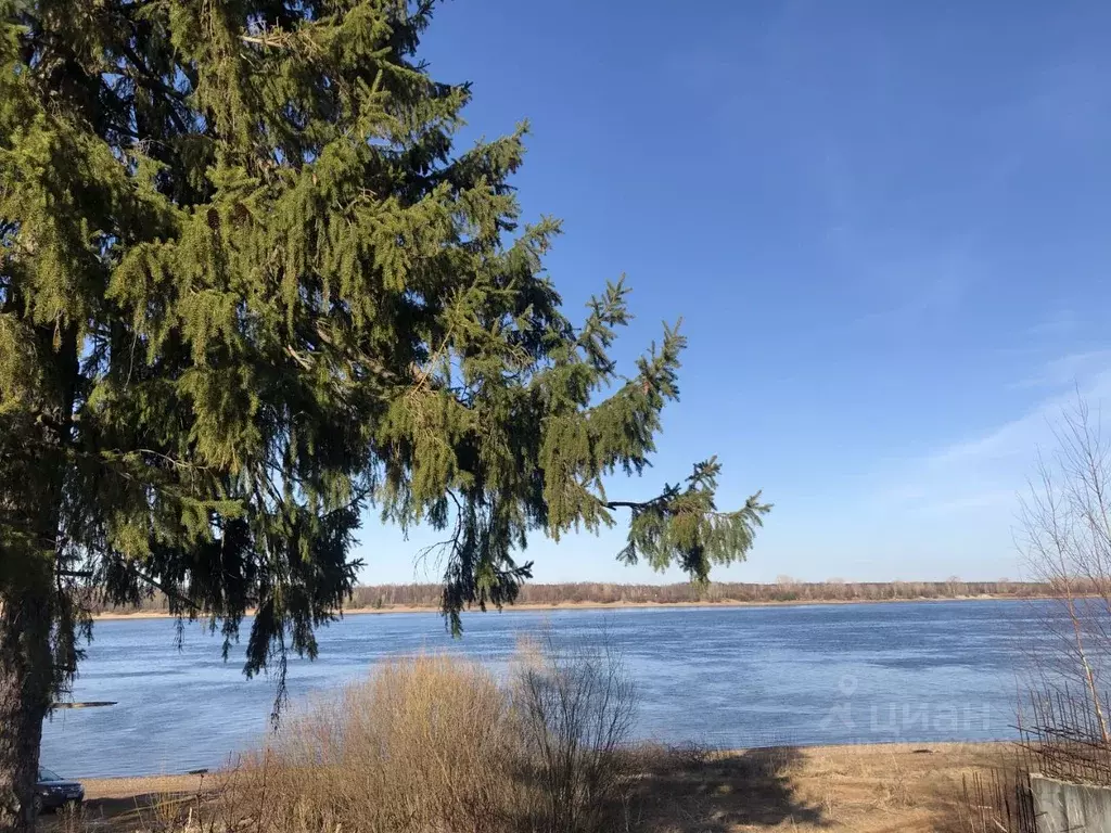 Дом в Пермский край, Пермский муниципальный округ, д. Кулики ул. ... - Фото 1