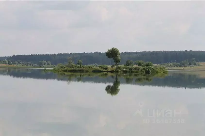 Участок в Владимирская область, Кольчугинский район, д. Обухово  (13.0 ... - Фото 1