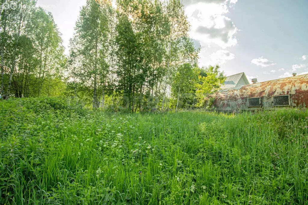 Дом в Наро-Фоминский городской округ, СНТ Лужок, 7 (25 м) - Фото 1