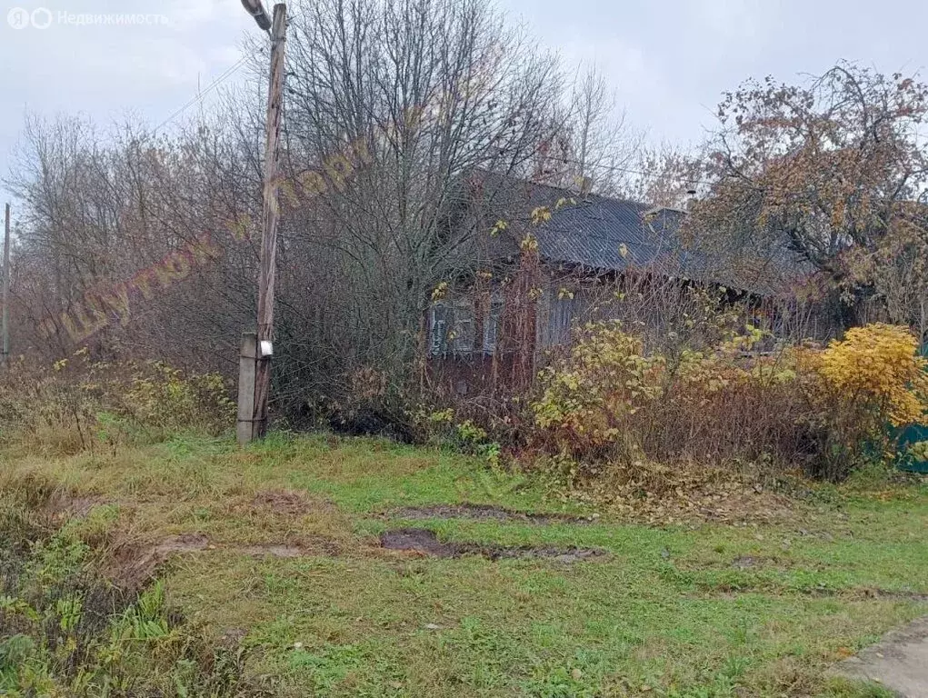 Дом в Максимово, улица Каманина, 64 (48 м) - Фото 1