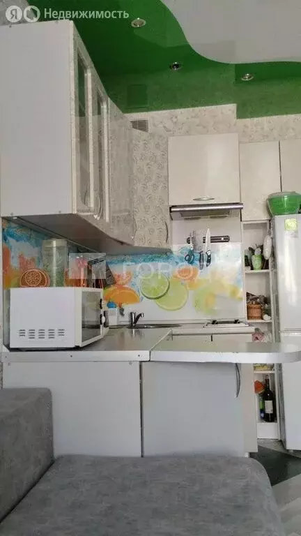 Квартира-студия: Новосибирск, улица Петухова, 103 (20.6 м) - Фото 2