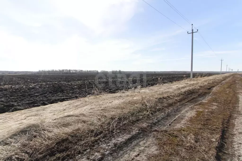 Участок в Тюменская область, Тюменский муниципальный округ, с. ... - Фото 2