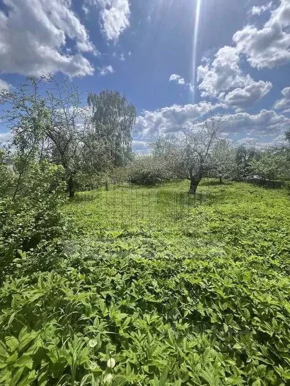 Дом в Калужская область, Калуга Электрик СНТ, 48 (30 м) - Фото 0