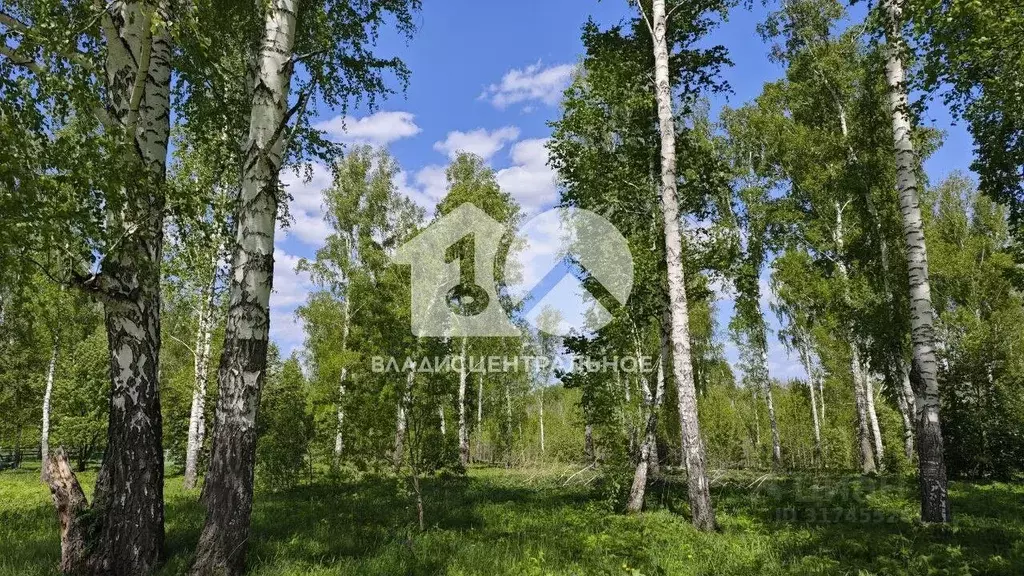 Участок в Новосибирская область, Новосибирский район, Каменский ... - Фото 0