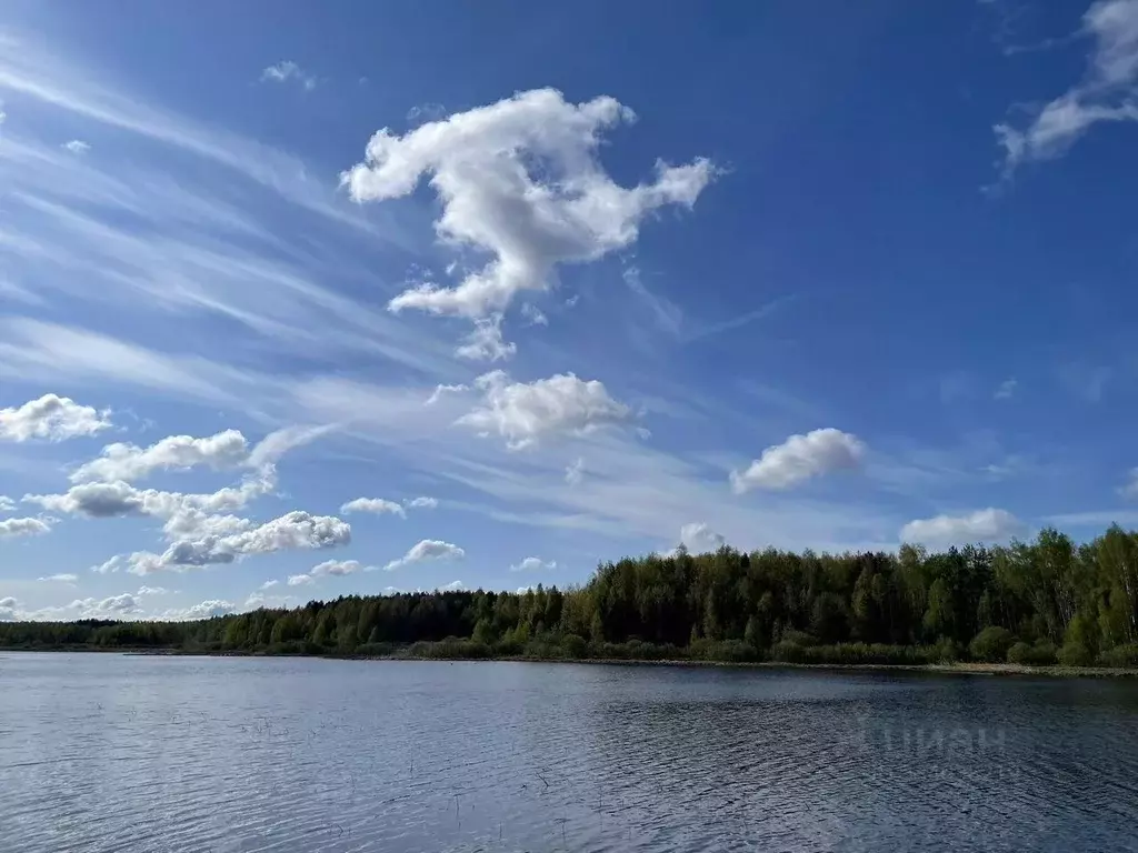 Участок в Московская область, Егорьевск муниципальный округ, д. ... - Фото 1
