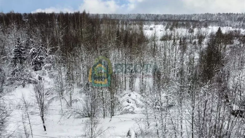 Участок в Ленинградская область, Всеволожский район, Лесколовское ... - Фото 2