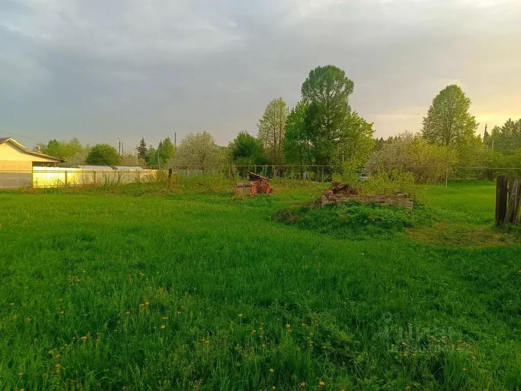 Участок в Марий Эл, Медведевский район, Краснооктябрьский городское ... - Фото 2