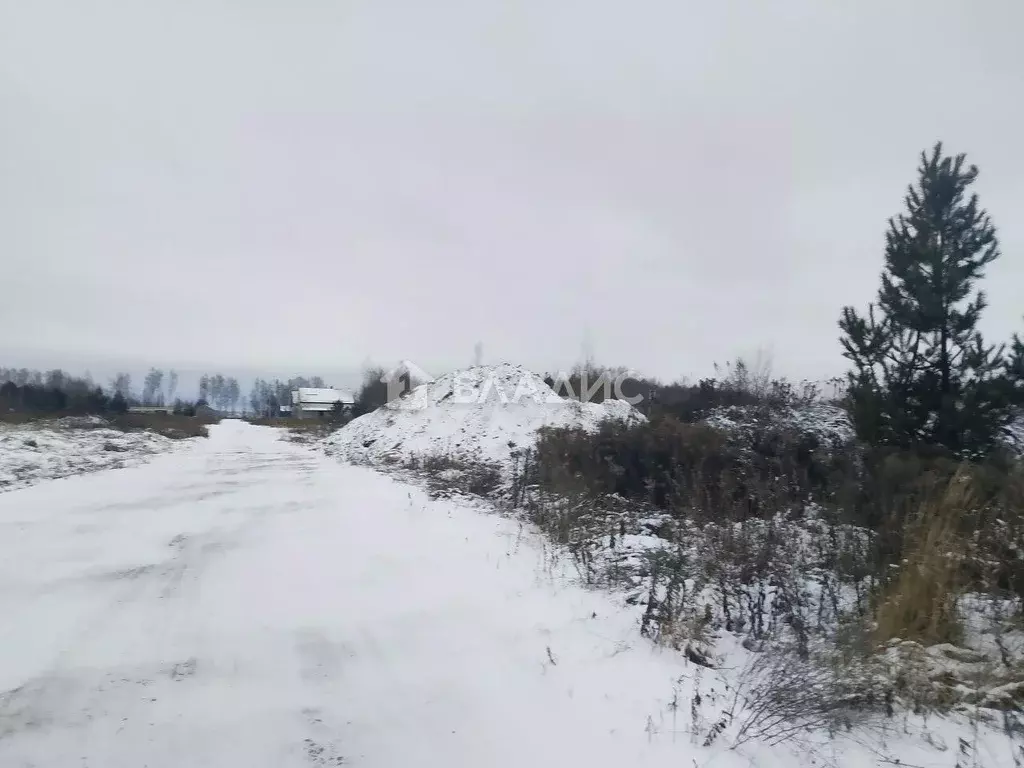 Участок в Нижегородская область, с. Безводное  (10.0 сот.) - Фото 1