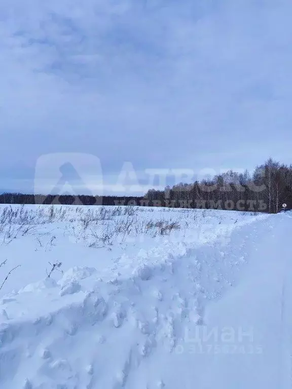 Участок в Тюменская область, Нижнетавдинский район, Строитель ТСН  ... - Фото 2