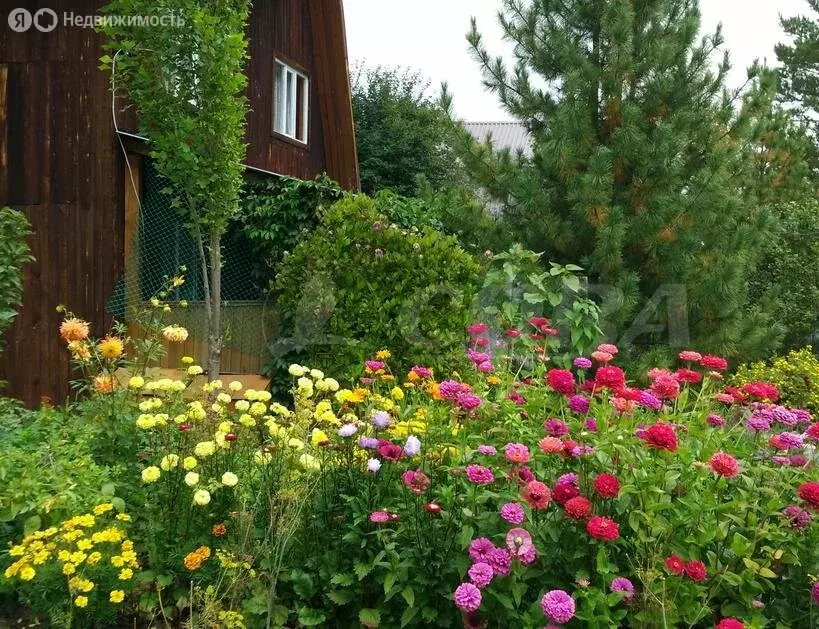 Дом в Тюменский муниципальный округ, СТ Искатель (80 м) - Фото 2