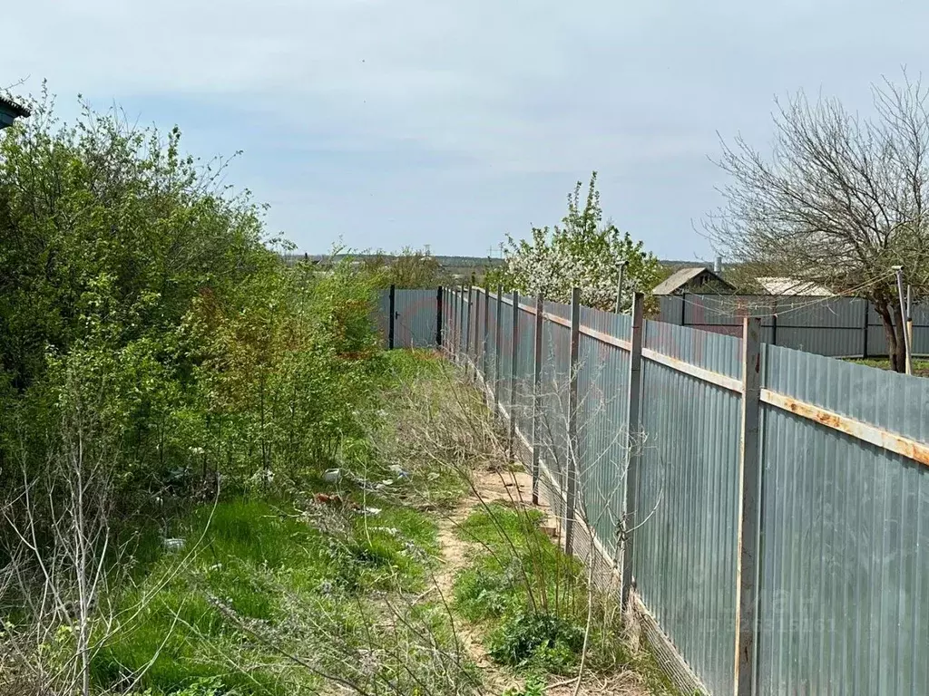 Участок в Ростовская область, Цимлянский район, Красноярское с/пос, ... - Фото 2