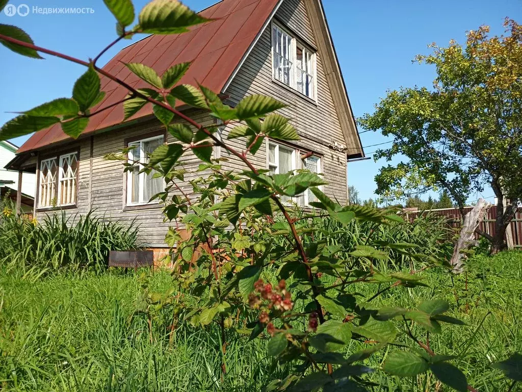 Дом в Московская область, городской округ Щёлково, СНТ Мечта (61.4 м) - Фото 2
