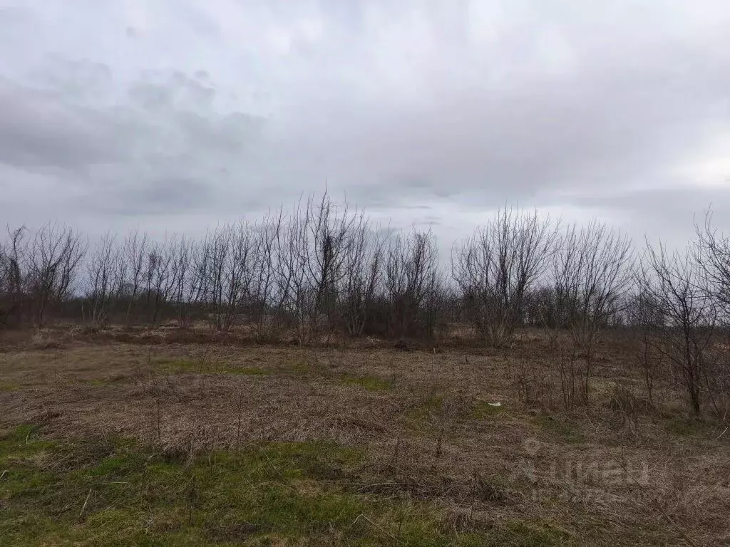 Участок в Краснодарский край, Северский район, Львовское с/пос, с. ... - Фото 2