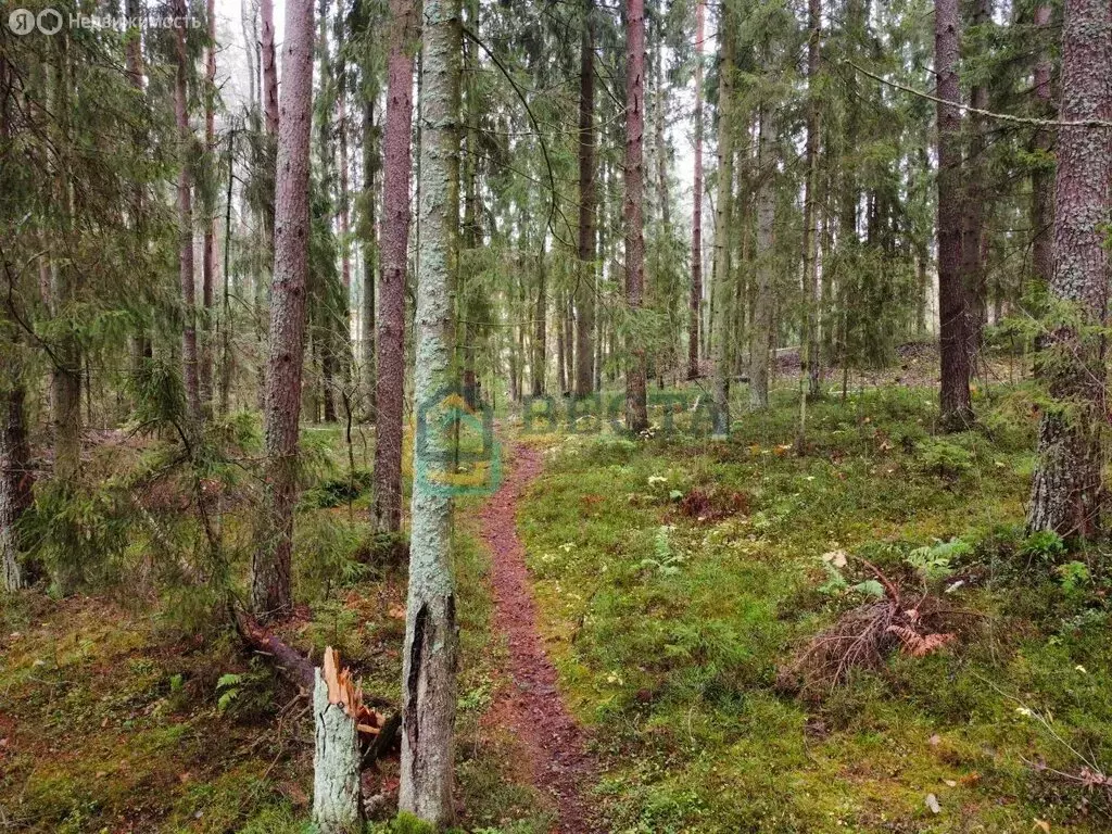 Участок в Всеволожский район, Куйвозовское сельское поселение, деревня ... - Фото 1