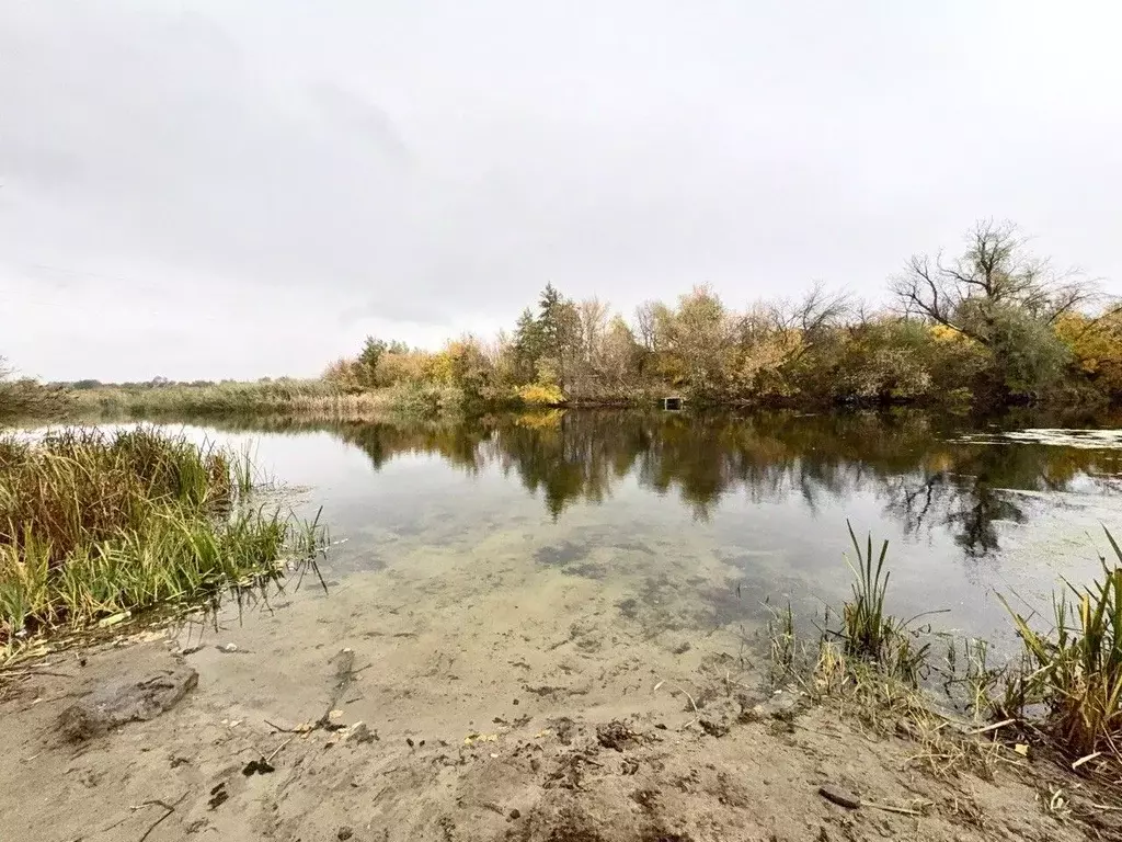 Дом в Ростовская область, Белокалитвинский район, Нижнепоповское ... - Фото 1
