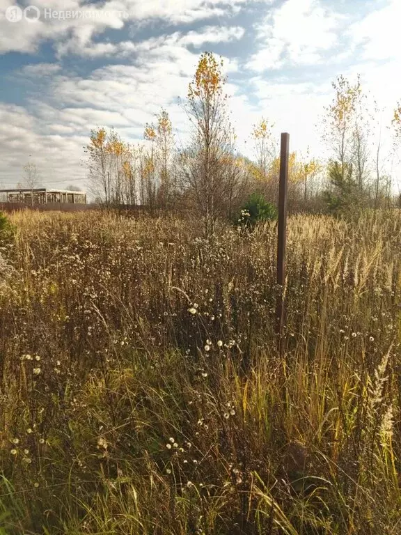 Участок в Жуков, садоводческое некоммерческое товарищество Стрелковка ... - Фото 1