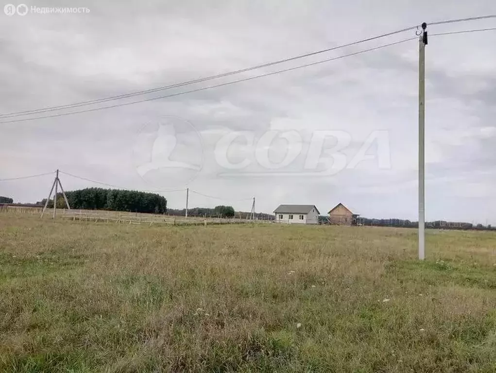 Участок в Свердловская область, Тугулымский муниципальный округ, село ... - Фото 1