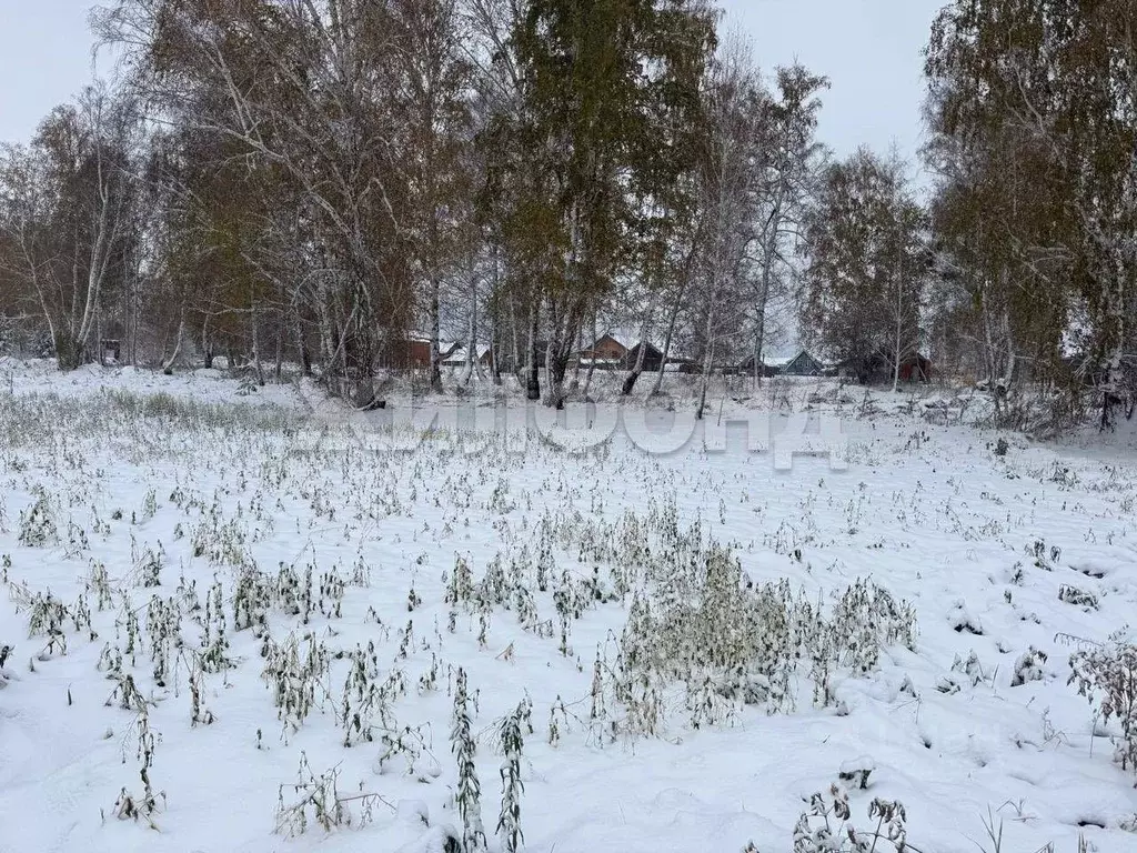 Участок в Новосибирская область, Мошковский район, пос. Октябрьский ... - Фото 0
