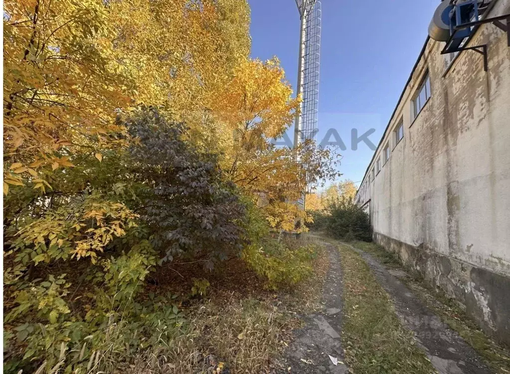 Производственное помещение в Адыгея, Майкоп Промышленная ул., 56 (100 ... - Фото 2