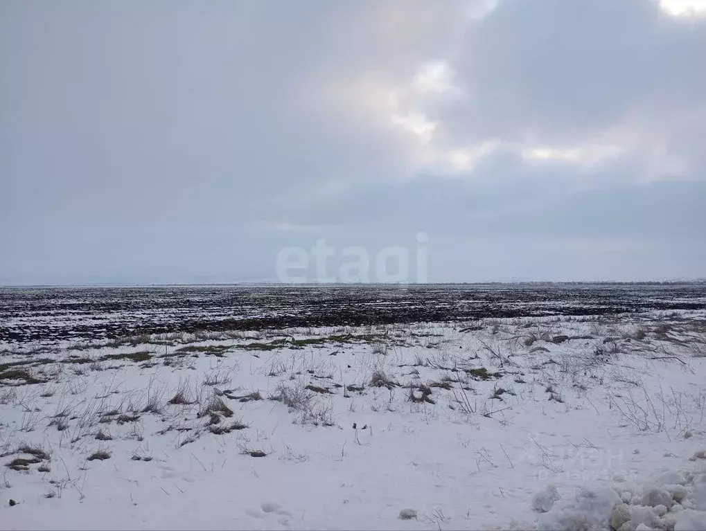 Участок в Крым, Кировский район, с. Приветное ул. Ленина (768.32 сот.) - Фото 0
