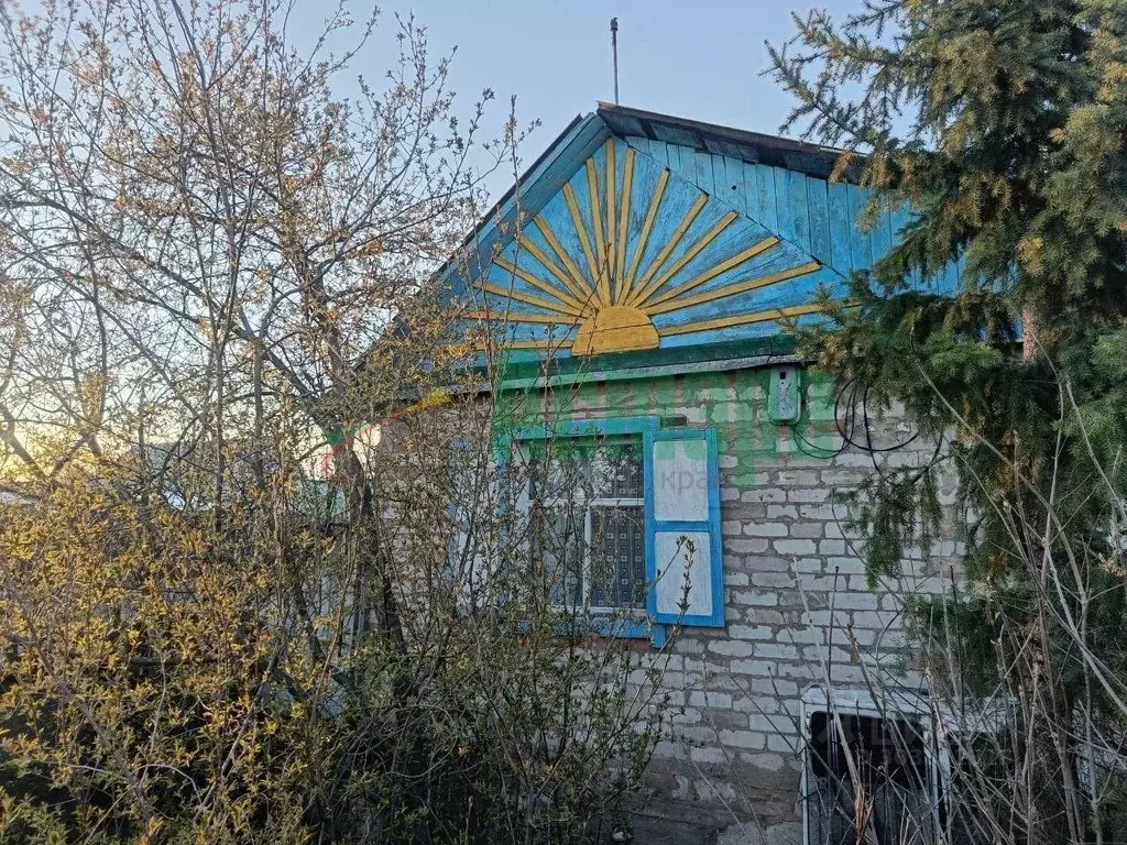 Дом в Забайкальский край, Чита Биофабрика СНТ,  (22 м) - Фото 2