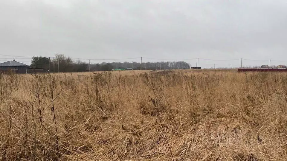 Участок в Московская область, Кашира городской округ, д. Тарасково ... - Фото 0