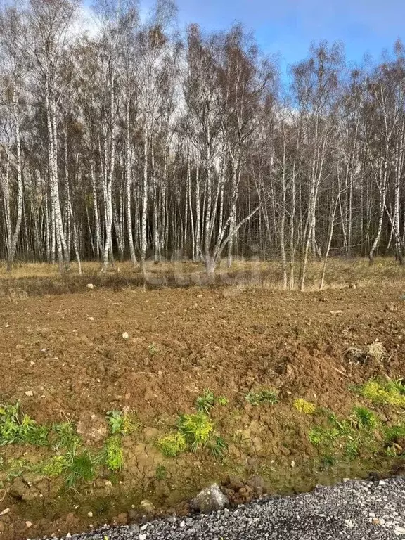 Участок в Московская область, Чехов городской округ, д. Чепелево  (7.0 ... - Фото 0